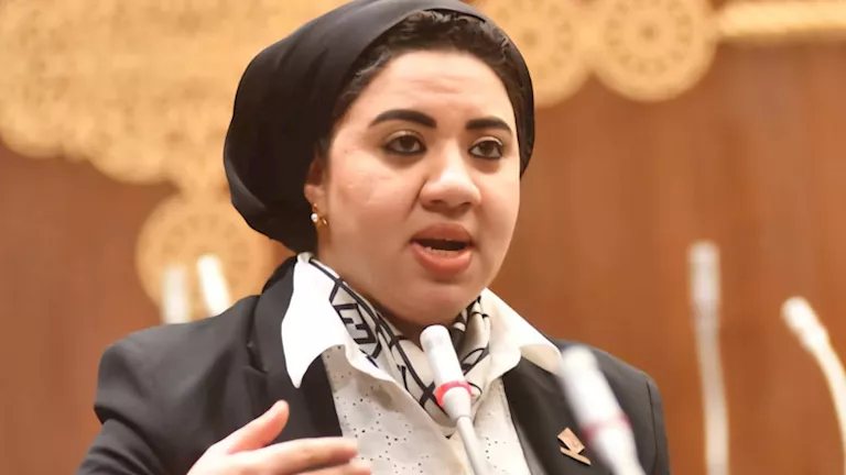 أميرة صابر تنتقد جلسة التعليم بمنتدى مصر 2026: غابت الملفات الجوهرية