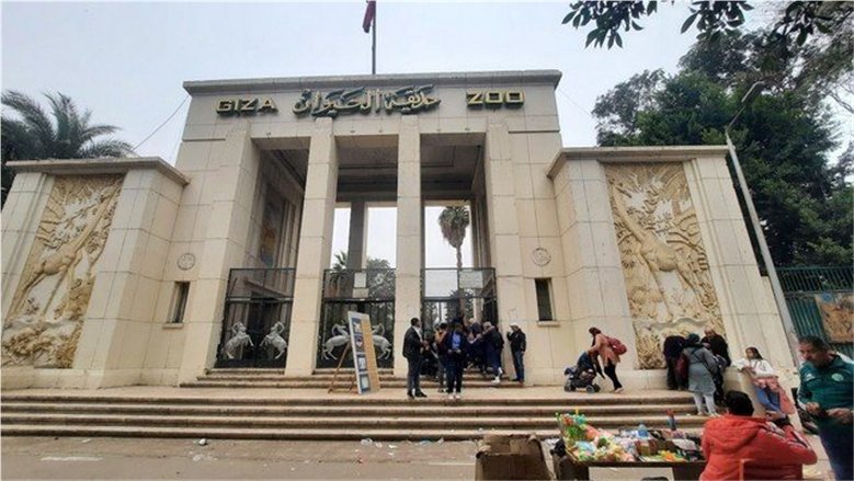 متى تُفتح حديقة الحيوان بالجيزة أبوابها؟.. موعد الافتتاح وأسعار التذاكر