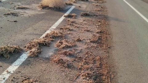البحر الأحمر ترفع درجة الاستعداد القصوى لمواجهة تداعيات تقلبات الطقس