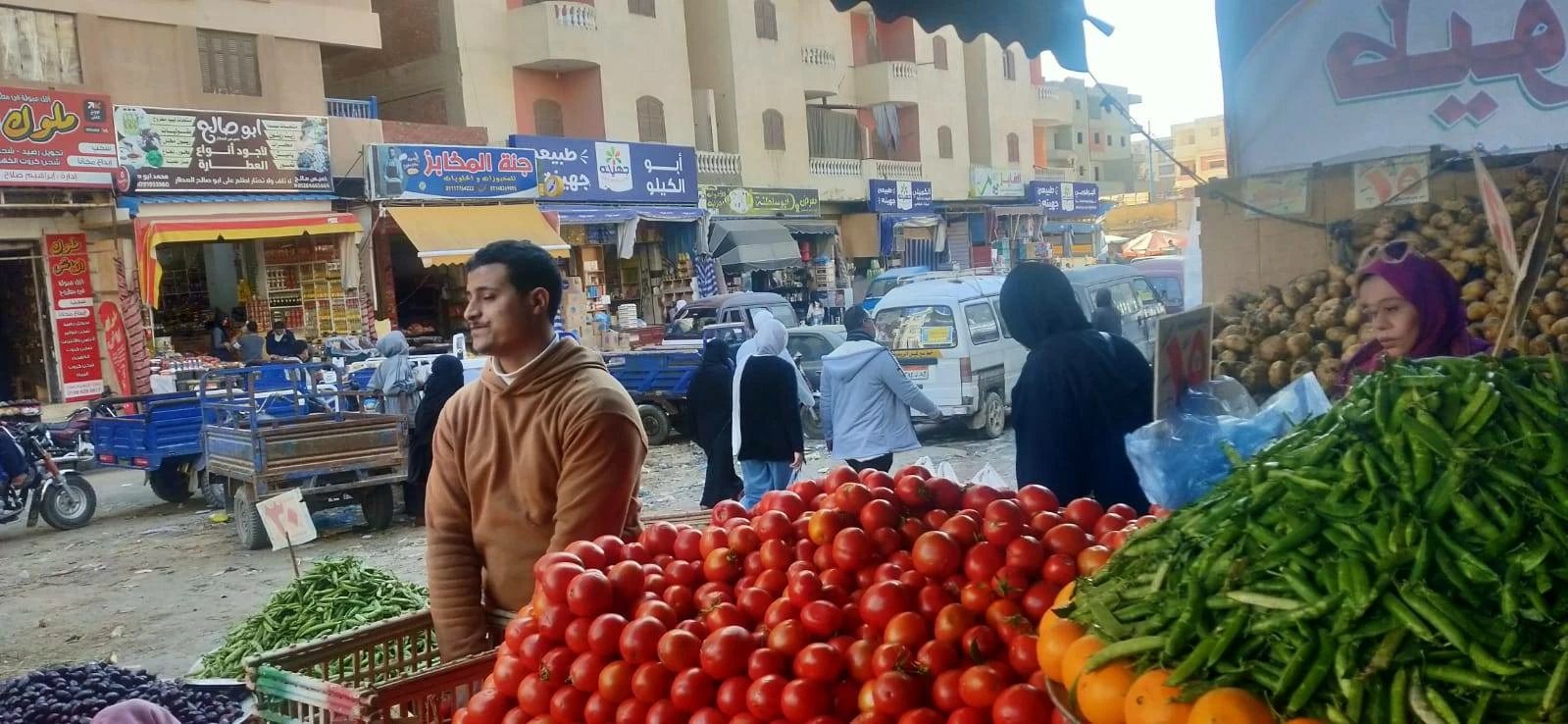 نقيب الفلاحين: يكشف مخاطر«سوسة الطماطم».. وتأثيرها على سعر المحصول