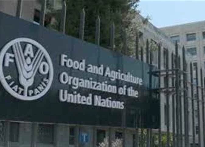 الصندوق الأخضر للمناخ يوافق على مشروع رائد لتعزيز العمل المناخي وسبل العيش في الجزائر